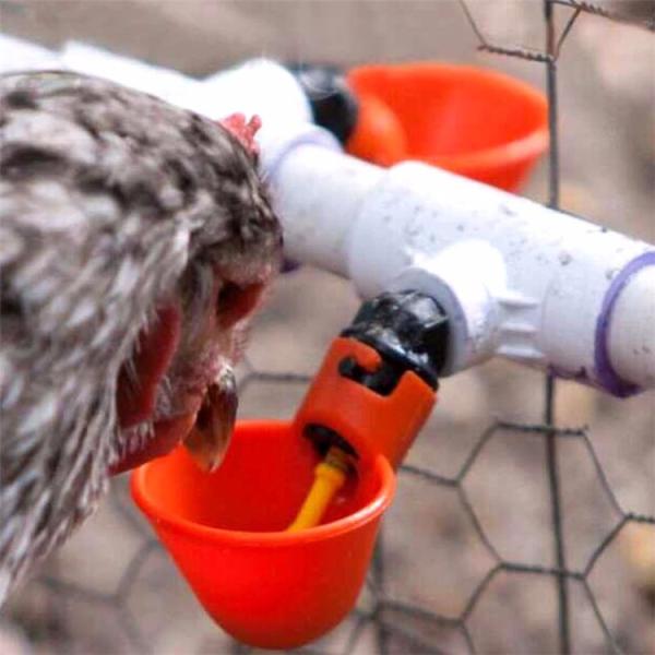 Chicken Poultry Drinker Feeder Automatic Watering Bowl