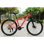 Buy cheap Teenager Christmas Gift 24 Speed Mountain Bike with Titanium Frame and Durable Design product