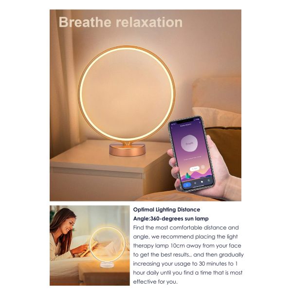 Touch Control 10000 Lux USB Charging Daglicht Lamp LED Table Sun Lamp