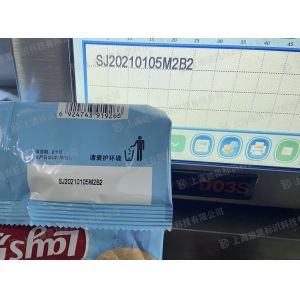 Continuous TTO Printer 300 DPI Barcode Intermittent Printing Machine