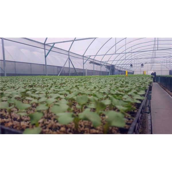 50 Mesh 100%HDPE Blue Non-Toxic Insect Mesh Netting for Fruit