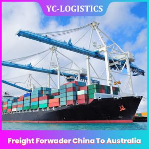 China DDP ShenZhen Sea Freight From China To Australia Fast Delivery on sale