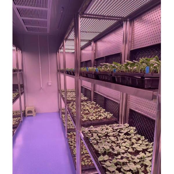 Lighting System for Container Greenhouses
