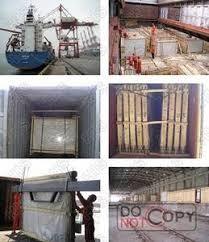 Dynamic Data Tpi Inspection Agency , Ls Delivery Service Surveillance Program