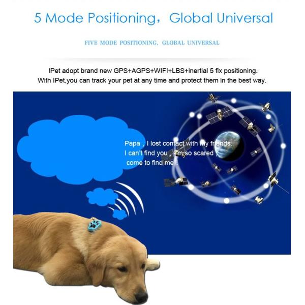 Online mobile number wifi mini chip gps tracker for persons and pets in bangladesh