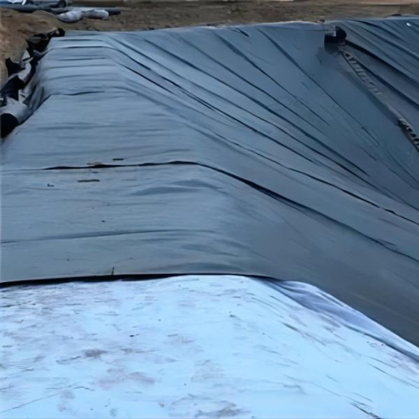 Black HDPE Geomembrane Pondliner 0.5mm 1mm for Modern Pond Design and Waterproofing