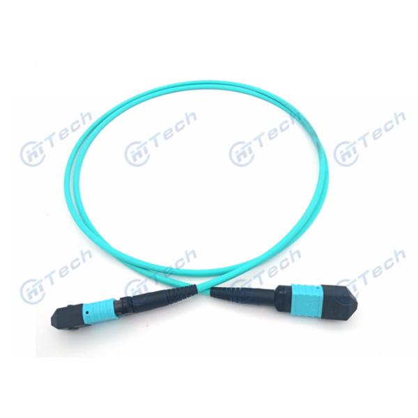 40G MPO MTP Patch Cord MPO-LC 24F Fanout 0.9mm Telcordia GR-326 Core IEC Standard
