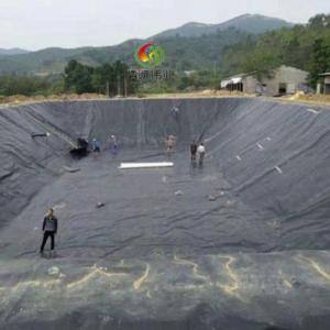 China HDPE High Density Polyethylene Pond Liners 0.2mm-3mm Thickness on sale