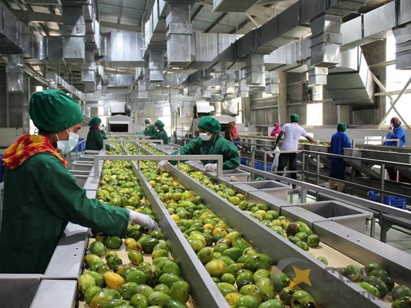 One-Stop Service Customized 1000-30000l/H Mango Processing Line Mango Juice/Sauce/Jam Machine With PLC Mango Pulp Equipment