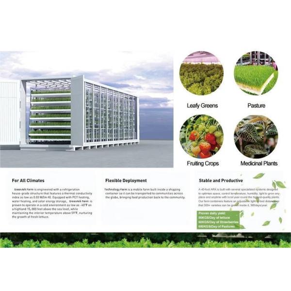 Tingzhou Juxiang Hydroponic Vegetables Machine Fully Automatic Hydroponic Growing System for Sales