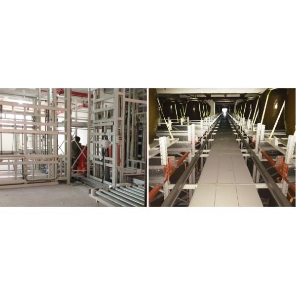 Shuttle & carrier Automated Storage System