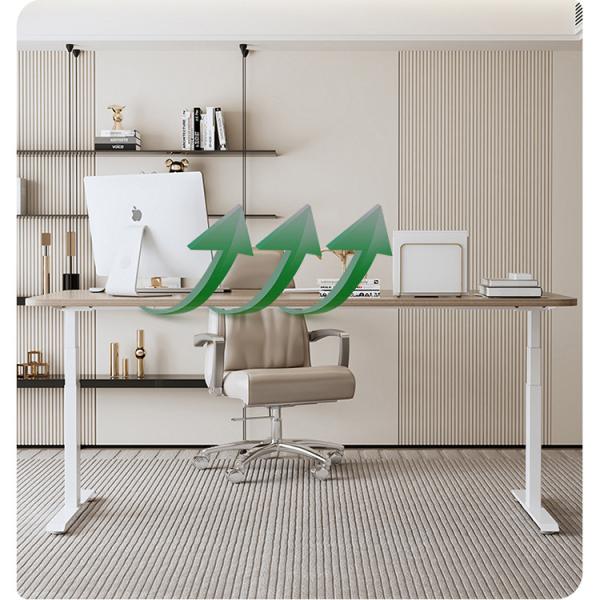 Modern Design Style Height Adjustable Dual Motor Stand Up Desk for Home Office Gaming