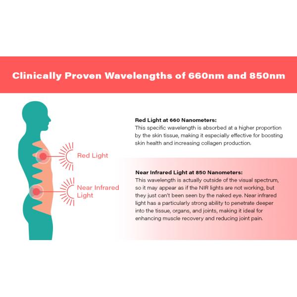 600W Led Red Light Therapy Belt Near Infrared For Skin Rejuvenation