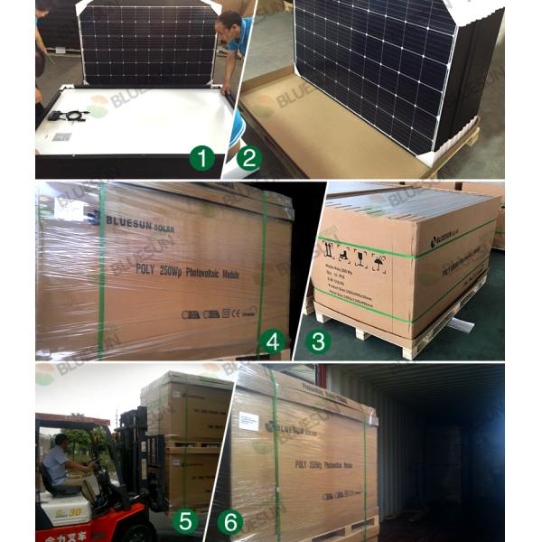 Cigs Solar Panel 330w Pv Module 340wp 350watts Hot Sale Best Price for Solar Home System