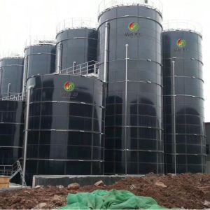 Sewage Biogas UASB Anaerobic Reactor Project In China