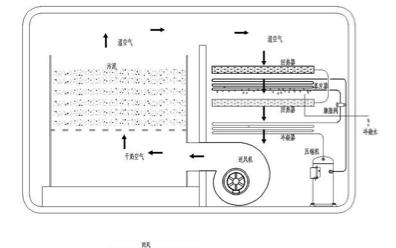 Compact Sludge Dewatering System Kitchen Adjustable Process Easy Installation