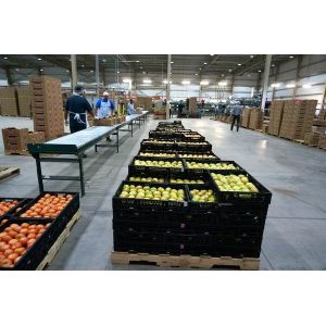 Agricultural Steel Framed Buildings , C Section Steel Structure Shed