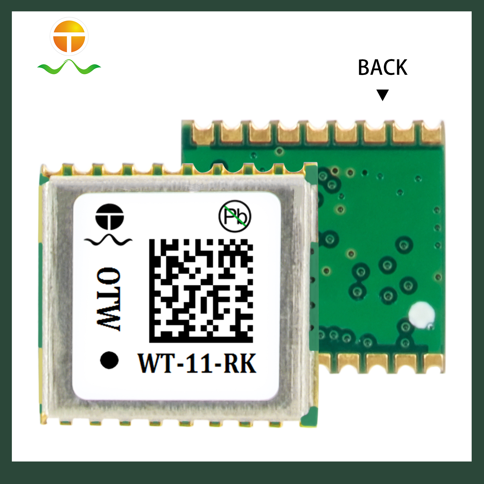 WT-11-RK GNSS Module with RTK for Base Station Positioning