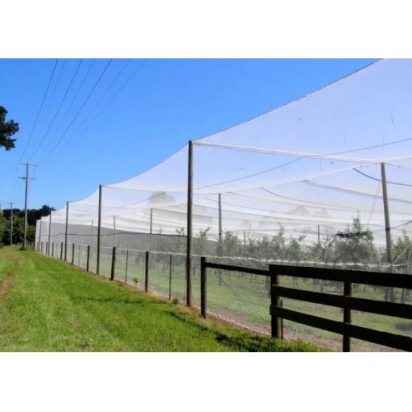 High Efficiency Customized Insect Mesh Netting 80% Windbreak Value