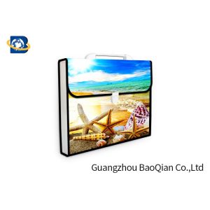 3D Lenticular Picture Expanding File Folders , Presentation Folder Printing