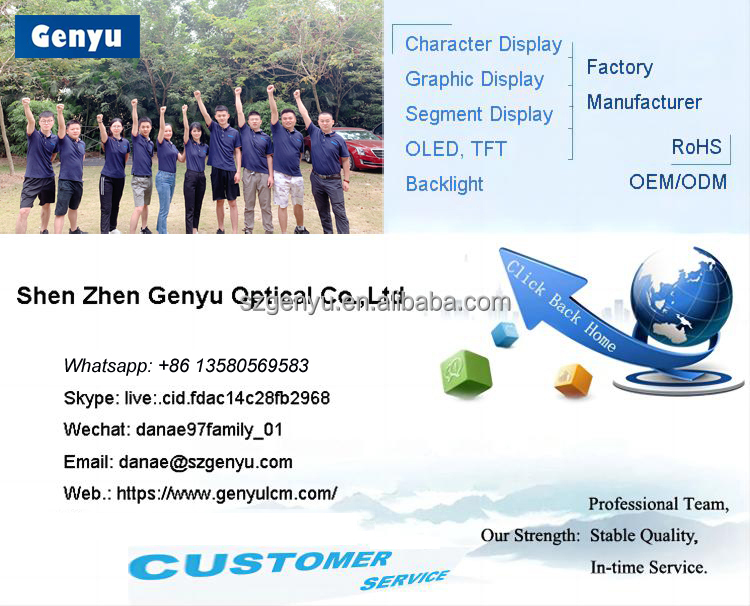 1.3 Inch SPI MCU RGB Color TFT LCD Display ILI9341 ST7789 ST7735 High Luminance 180/200/250/300/350/500/1000 Cd/m 2