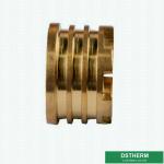 Female Brass Inserts Customized Designs For Ppr Fittings