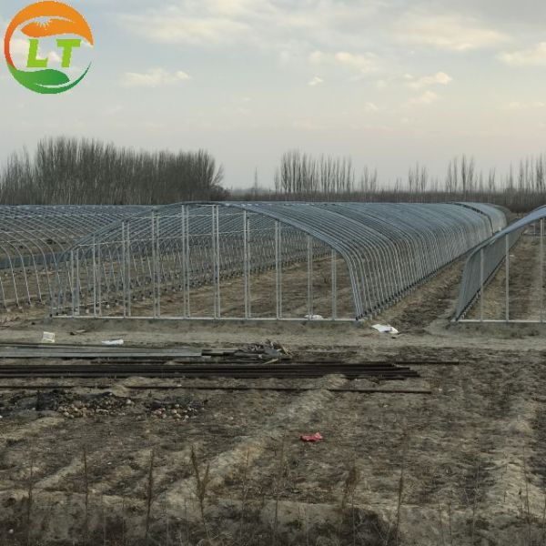 Single Layer Chinese Greenhouse Frame for Compression Resistant and Customizable Design