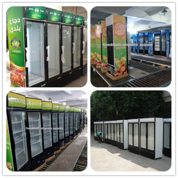 280L Commercial Display Fridge Beer Display Beverage Single Door Fridge With Shleves