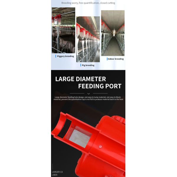 Quantitative Cup Plastic Drop Feeder for Pig/Swine Farm Used in Automatic Feeding System High Quality