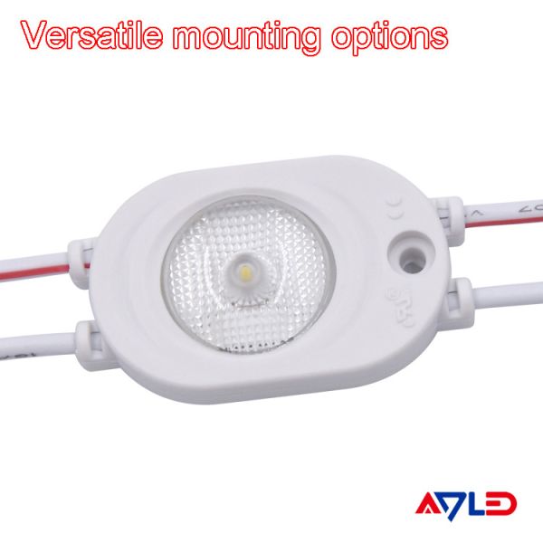 1W Per 1led 2835 Smd LED Module 12V 180 Degree LED Module UL/CE./ROHS Certification Passed