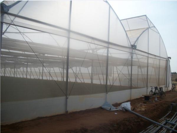 HDPE Insect Mesh Netting
