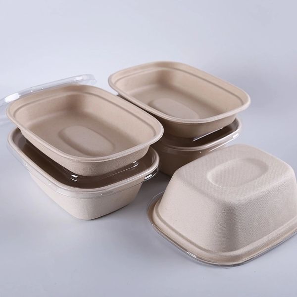 Bento Biodegradable Disposable Dinnerware Salad Compostable Takeaway Container