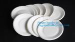 eco sugarcane pulp disposable biodegradable plate,Factory 100% Biodegradable