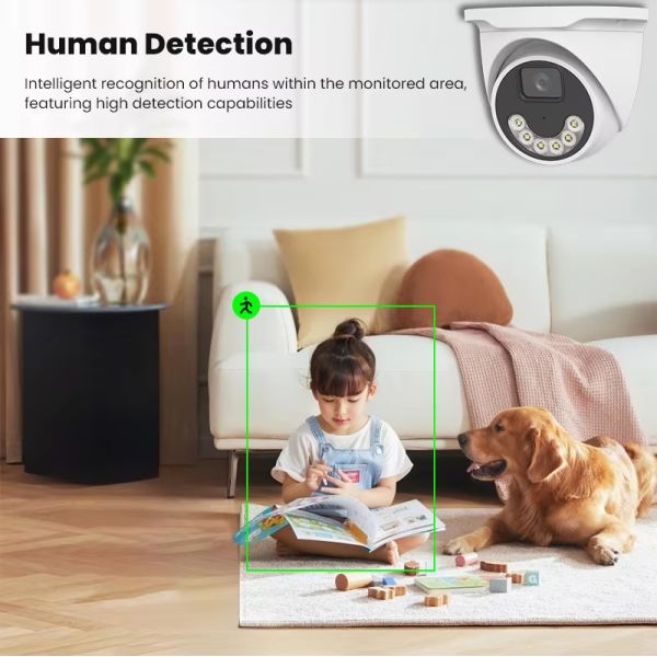 Full Color Dome CCTV IP Camera 4MP 5MP Night Vision Network Camera Ip POE Cctv Dome Security Camera