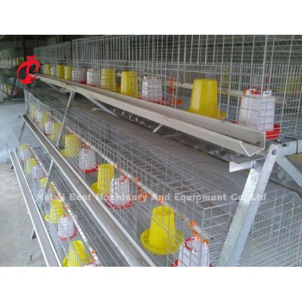 Hot Galvanized Baby Chicken Battery Cage For Sale In Nigeria Office Iris