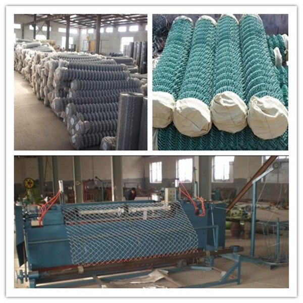 Galvanized 50X50mm 100X100mm Chain Link Fence