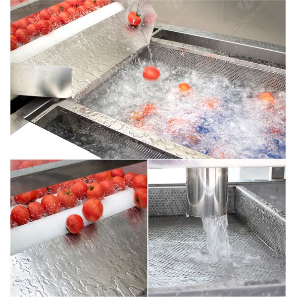 Multifunction Fruit And Vegetable Processing Line Parallel Brush Machine