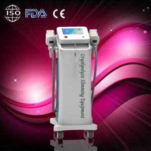 Professional Coolsculpting / Cryolipolysis slimming machine for weight loss,