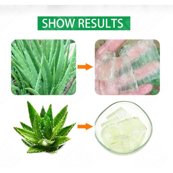 Aloe Washer/Asparagus Dicing Machine/Aloe Vera Peeling Machine