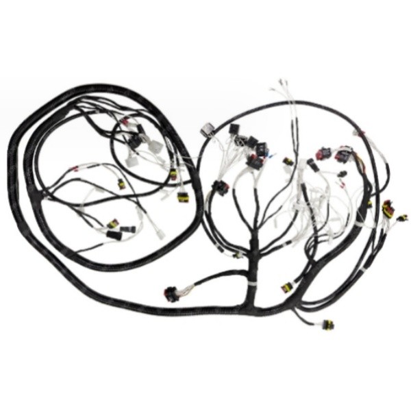 Plastic Electric Vehicle Wire Harness Assembly OEM Voltage 24V