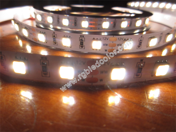5050 two white color chips dimmable cct strip