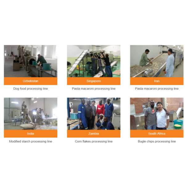 Turkey Service Sinking Fish Feed Processing Machine Extruder Manufacturing Machine