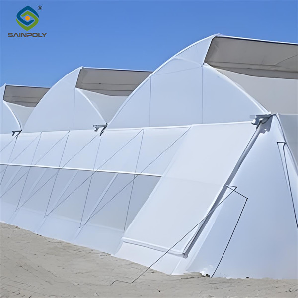 Stable Structure Agricultural Multi Span Greenhouse 30-100m Length