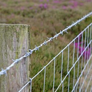 Hot-dipped Barbed Wire Philippines Galvanized Barbed Wire Price Per Roll Barbed