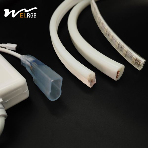 AC110V 220V Voltage Double-Row Circular RGB Light Strip Controller with Main Material