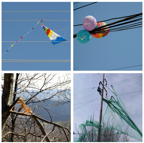 Remote Laser Litter Removal Device For Removing Tree Branch On Transmission Line Electric Power