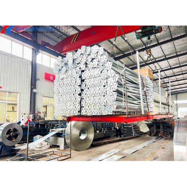 Q345 Q235 Steel Poultry House Onsite Installation With Automatic Equipment