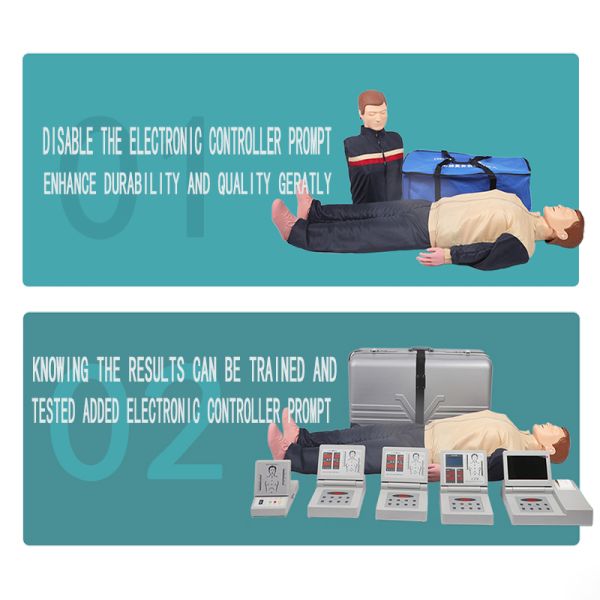 School Medical CPR Training Manikins On First Aid
