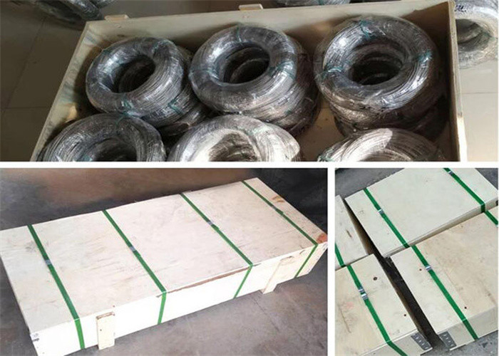 100x100mm Wire Cable Trellis Wire Mesh For Climbing Plants AISI 316 5.0mm