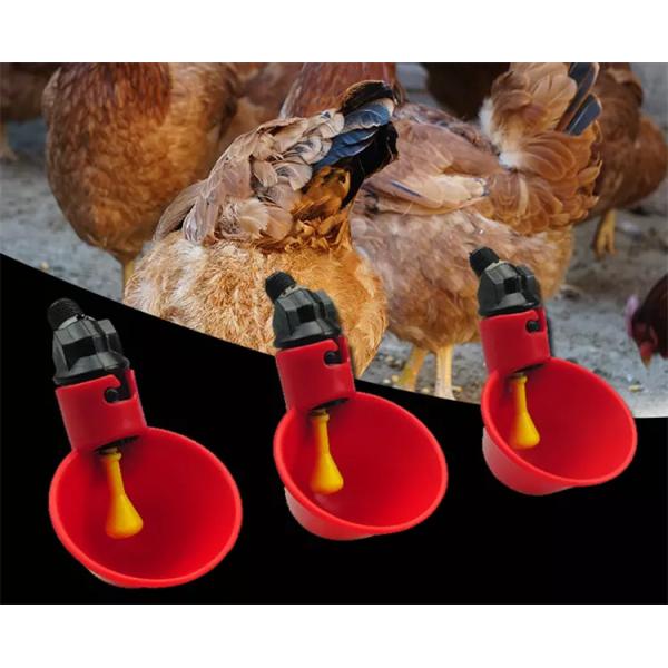 Chicken Poultry Drinker Feeder Automatic Watering Bowl